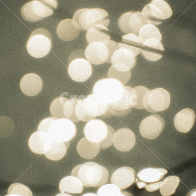 texture,조직,light,flare,감성,라이트,조리개,빛번짐,플레어
