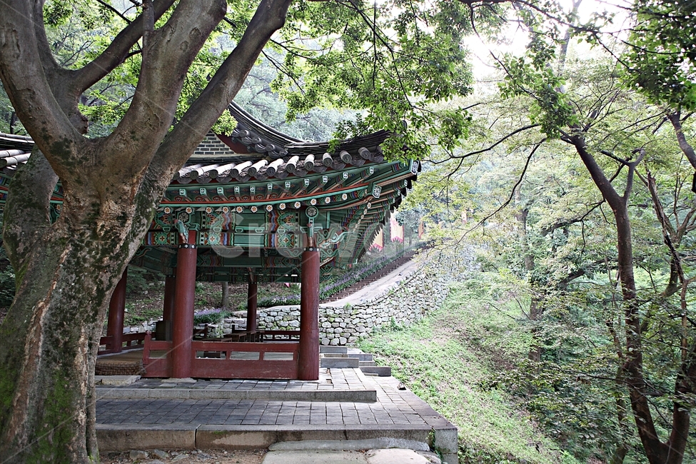 공주산성,산성,성,성곽,길,둘레길,숲,숲길,안개,담,돌담,여름,풍경,흙담,나무,식물,유네스코등제