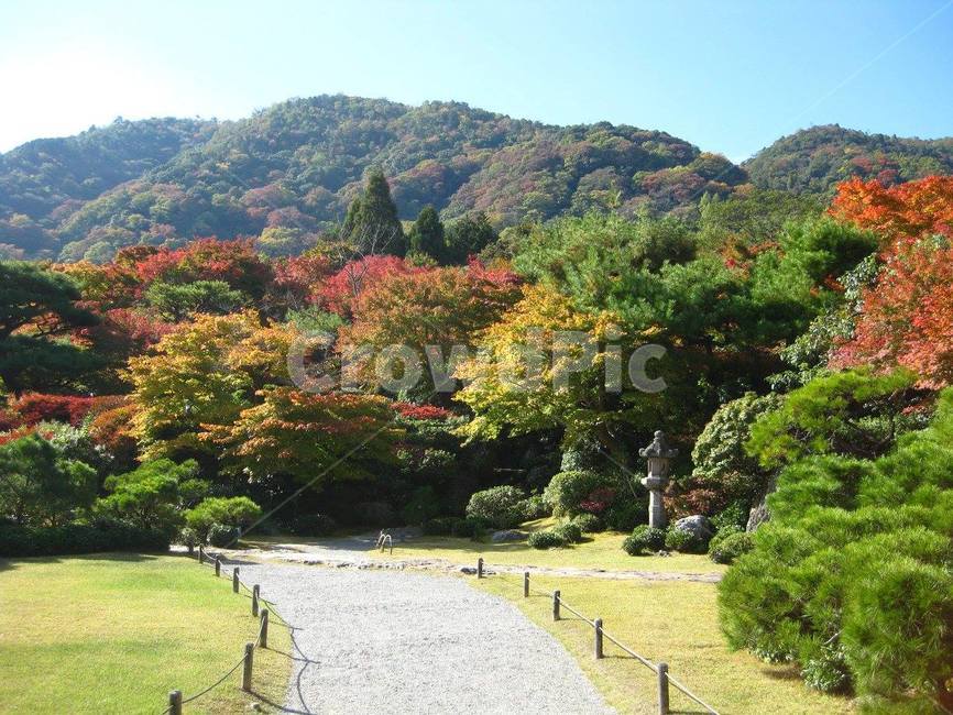 가을,단풍,빨강,red,하늘,자연,길,아라시야마,교토,오코치산소