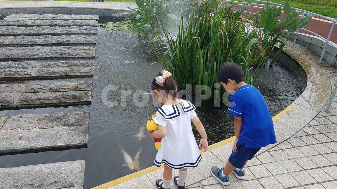 아이들,물고기,연못,나들이,human,인간,person,사람,flagstone,판석,사람,인물,인간,human,person,어린이,어린아이,child,children,kid