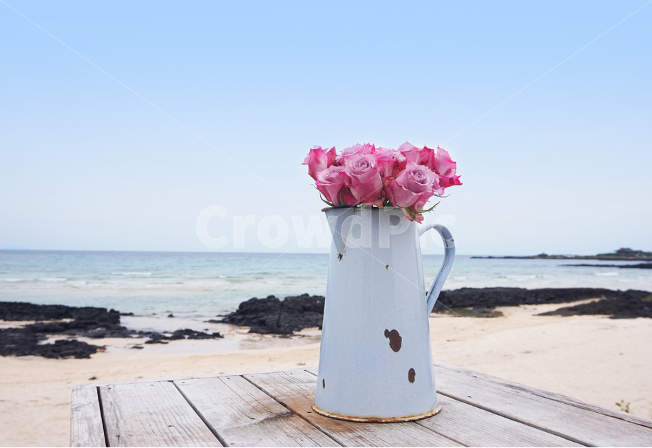 장미꽃,파란하늘,pinkrose,하늘바다,분홍장미,화병,해안도로,맑은하늘,bluesky,rose,beach,flowerbeach,flower,flowervase,꽃병,해변가,모래,모래사장,테이블,꽃꽂이,발렌타인데이,발렌타인,화이트데이,여름,풍경,해변,바다,beach,sea,꽃,flower