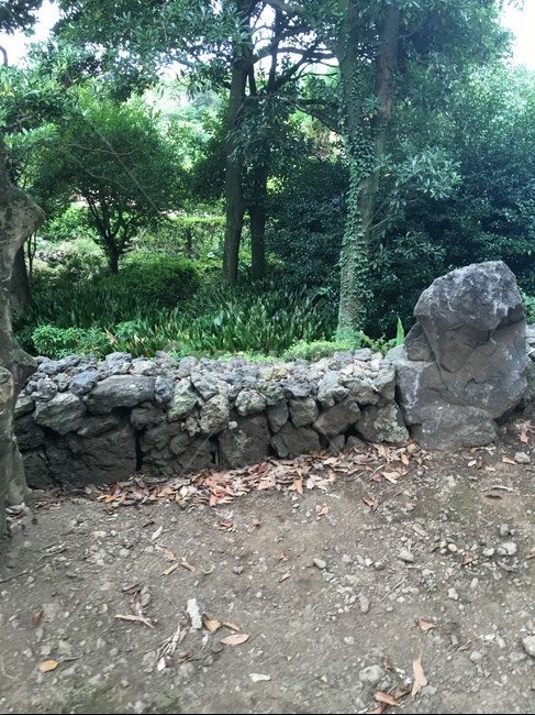 제주도,수목원,돌담,수목,푸른풍경,자연,풍경,nature,landscape,slate,슬레이트,rubble,파편