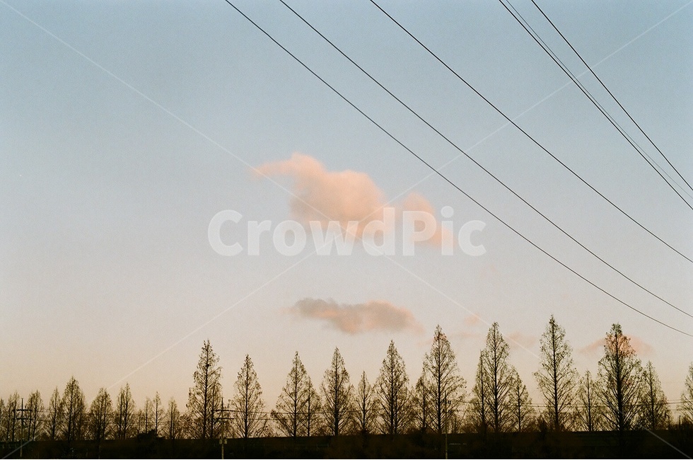 구름,전선,풍경,필름카메라,감성,나무,하늘,sky,자연,풍경,nature,landscape,cable,케이블,power lines,전력선,electric transmission tower,송전탑