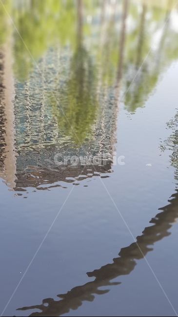 하늘,나무,빌딩,물,sky,water