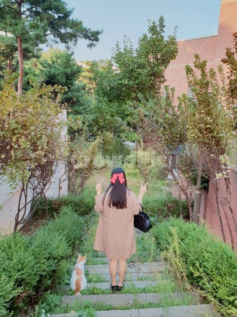 길고양이,고양이,여자뒷모습,풍경,사람,동물,자연,동화풍경,뒷모습,동물,animal,포유류,mammal,고양이,cat,kitten,kitty,사람,인물,인간,human,person,여성,여자,woman,female,lady