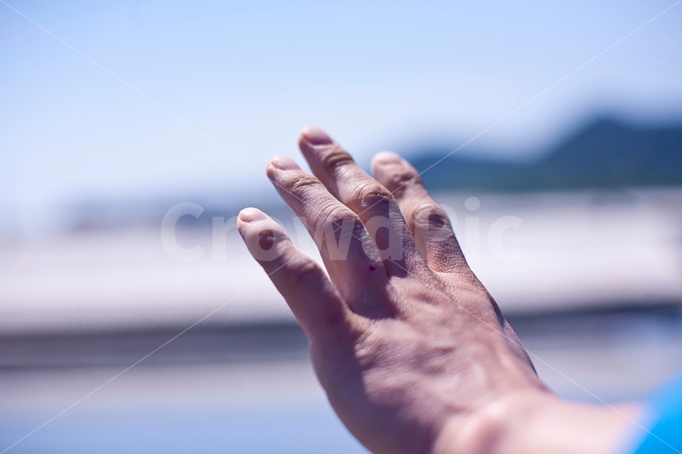 손,빛,하늘,햇살,따사로움,손가락,푸른색,파란,아련,감성,사람,인물,인간,human,person,신체일부,몸,body,손,제스처,표시,손짓,표현,gesture,hand,sign,expression,감정표현,기분,feeling,emotion,감성,sensible