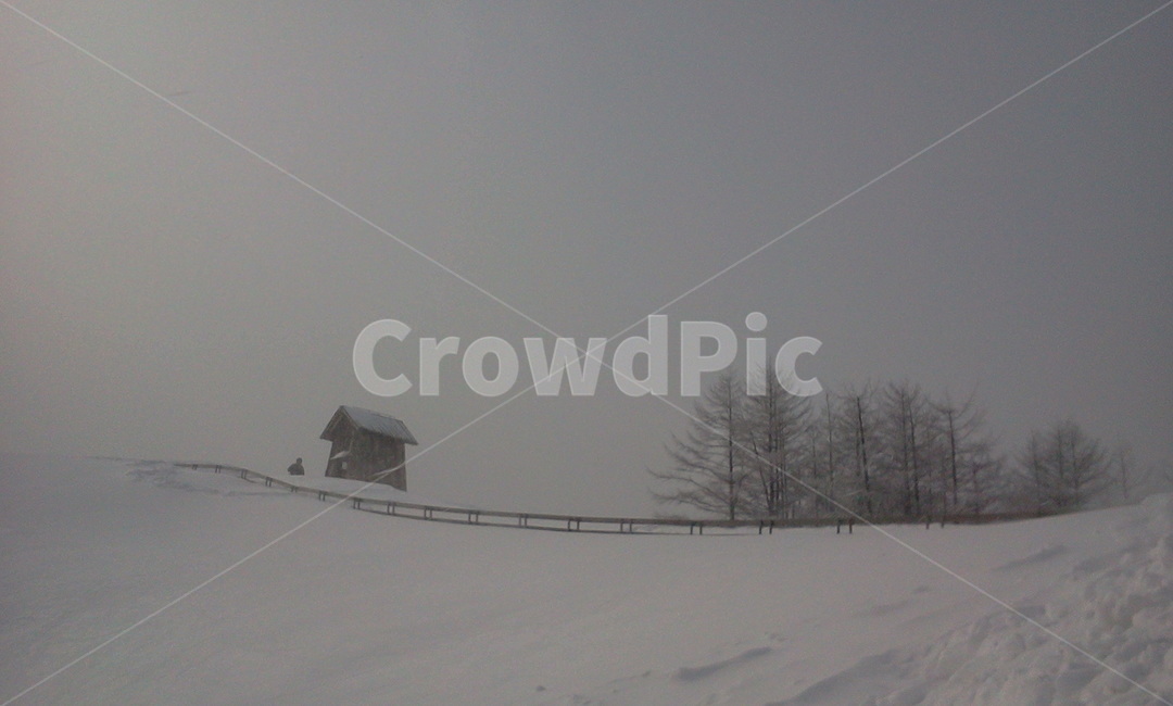 nature,자연,outdoors,blizzard,winter,겨울,snow,눈,양떼목장,설경,눈보라,겨울,계절,winter,season,자연,풍경,nature,landscape