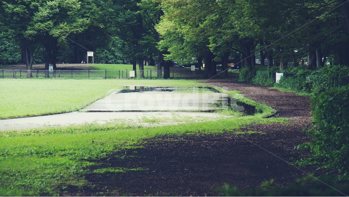 공원,운동장,잔디,잔디밭,일본,도쿄,park,playground,grass,japan,tokyo,비,rain,자연,풍경,nature,landscape,plant,식물