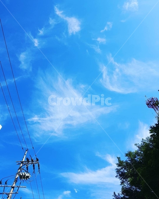 하늘,풍경,가로등,나무,푸른