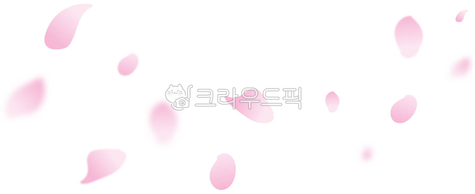 꽃잎,흩날리는,흩날리는꽃잎,벚꽂,벚꽃잎,히야신스,바람에날리는,향기,아름다움,petal