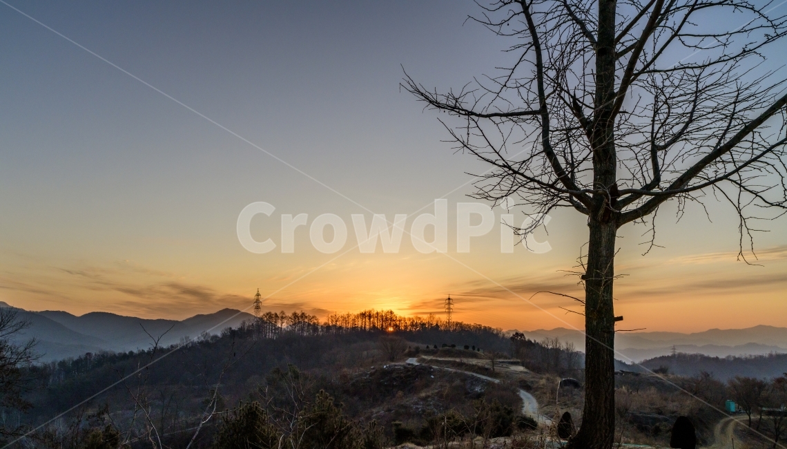 풍경,일출,나무,운해,landscape,자연,풍경,nature,landscape,식물,plants,나무,trees,wood,outdoors,옥외