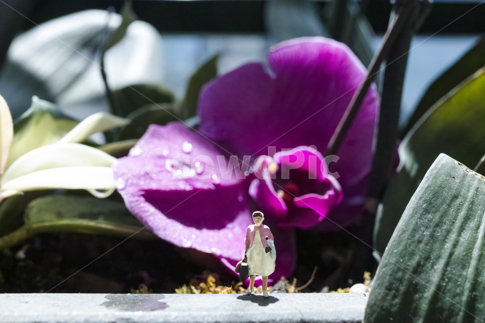 봄,나들이,plasticpeople,미니어처,아가씨,꽃처녀,봄처녀,봄,계절,spring,season,식물,자연,plants,nature,꽃,flower,조각상,동상,석상,조형물,statue,bronze statue,stone statue,사물,물건,오브젝트,thing,object,matter,연출,컨셉,콘셉,direction,concept,plant,geranium,제라늄,blossom