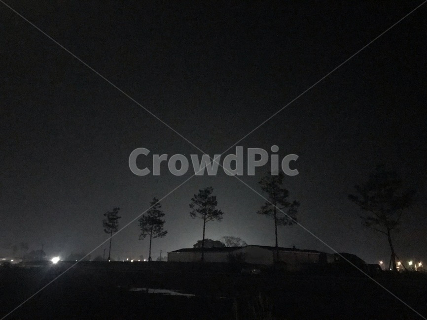 나무,밤,night,풍경,tree