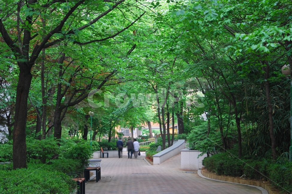 공원,숲,벤치,의자,사람,산책,산책로,나무,자연,가로수,풍경,여름,계절,summer,season,식물,자연,plants,nature,나무,trees,wood,outdoors,옥외,garden,정원