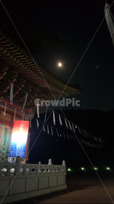절,신전,건물,신사,architecture,temple,building,달,종교,신앙,religion,belief,faith