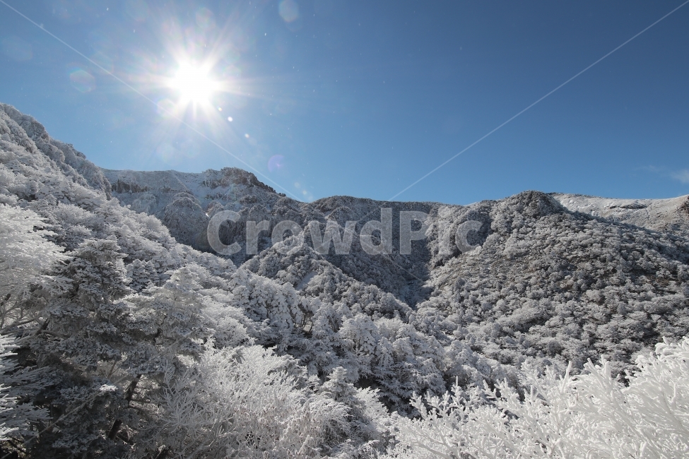 한라산,상고대,설산,겨울,겨울산행,눈꽃,진달래대피소,성판악,관음사,제주도,제주,백록담,겨울,계절,winter,season,자연,풍경,nature,landscape,한국자연풍경,한국자연경관,korea nature landscape,제주도,jeju,jeju island,outdoors,옥외,ice,얼음