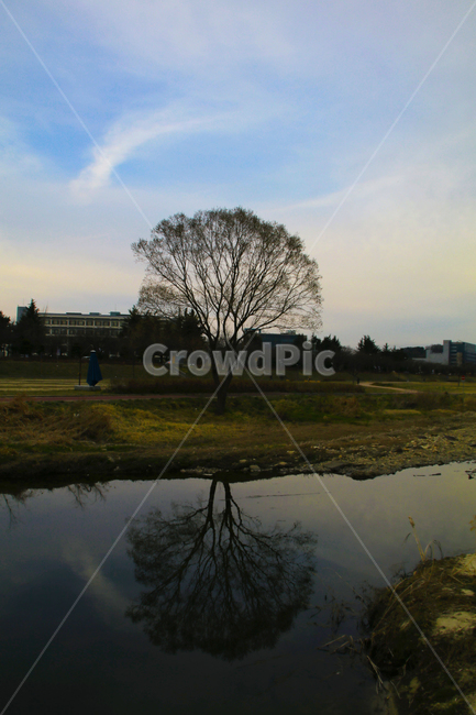 나무,하늘,물,반영,식물,그림자,강,하천,자연,풍경,nature,landscape,land,땅,outdoors,옥외,water