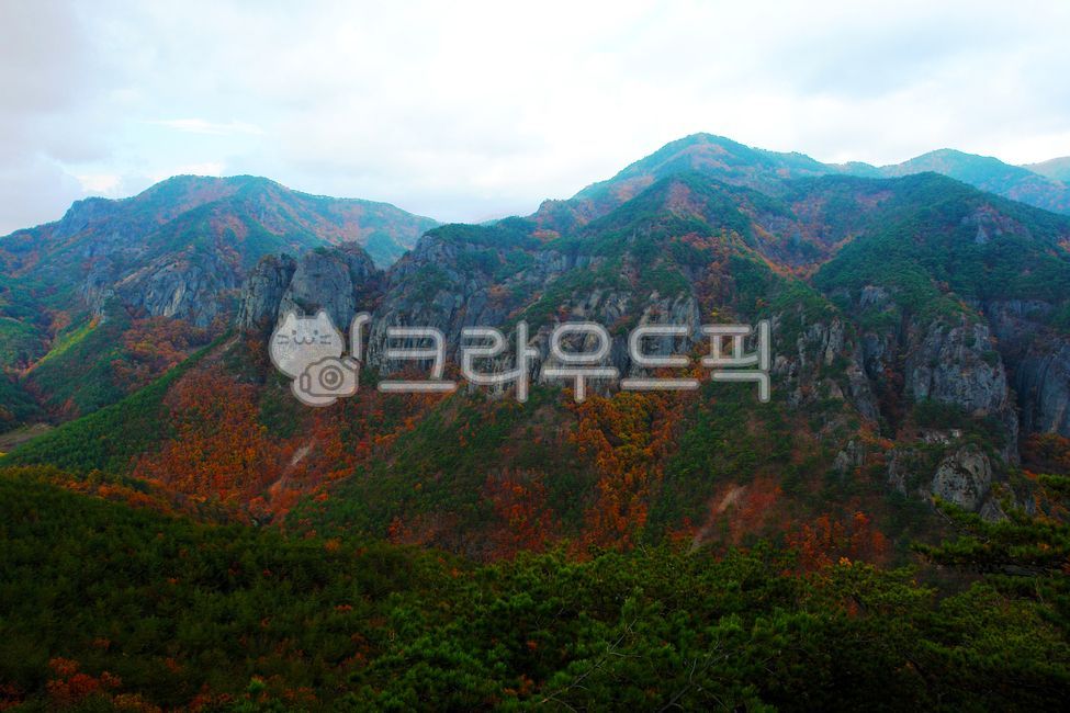 주왕산,풍경,landscape,숲,forest,나무,tree,하늘,sky,구름,cloud,산봉우리,소나무,정상,산정상,바위,절벽,cliffs,rockwalls,rocks,낭떨어지,암벽,풀,grass,첩첩산중,nature,자연,outdoors,옥외,mountain,산,mountainrange,산맥,hill,언덕,peak,정점,plateau,고원,단풍,maple