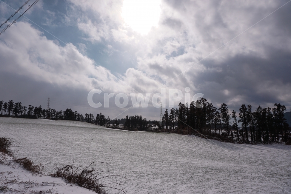 눈,겨울,자연,하늘,제주,겨울,계절,winter,season,자연,풍경,nature,landscape,outdoors,옥외