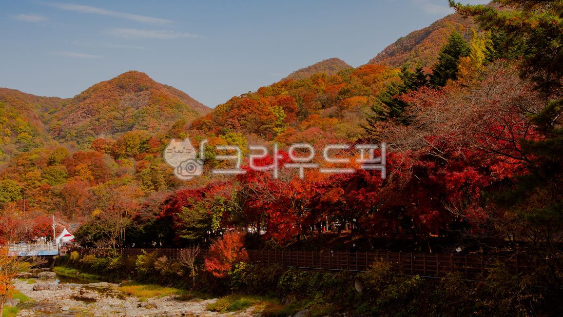 가을, 단풍, 산, 풍경, 가을풍경, 사진,이미지,일러스트,캘리그라피 - hweere12작가