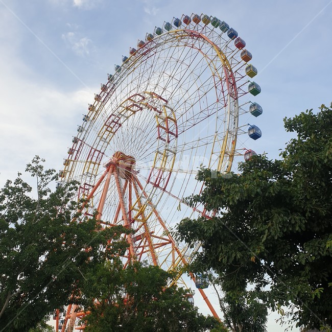관람차,놀이공원,놀이,관람,관광,놀이공원,놀이동산,놀이터,amusement park,playground