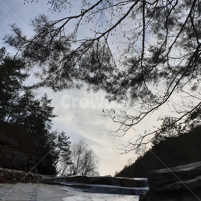 풍경,자연,나무,그림자,구름,자연,풍경,nature,landscape,tree,plant,식물,fir,전나무