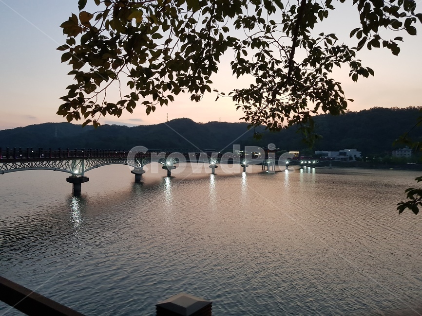 월영교,안동,해질녘,물,다리