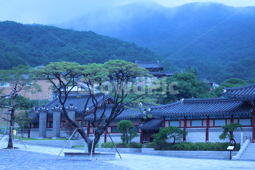 전통,하늘,기둥,기와집,정원,한국전통,한국문화,korean traditional,korean culture,건축물,건물외관,exterior,building,structure,architecture,construction