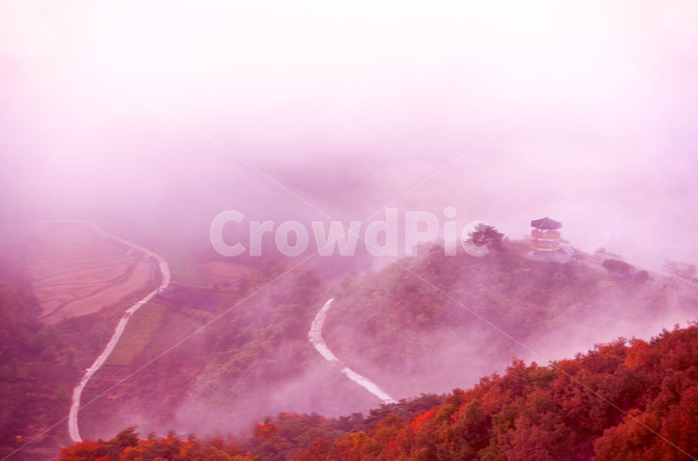 새벽길,정자,안개,가울풍경,mist,fog,오솔길