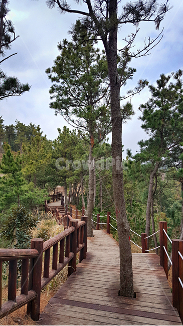 제주도,서귀포시,송악산,둘레길,풍경,nature,자연,outdoors,옥외,길