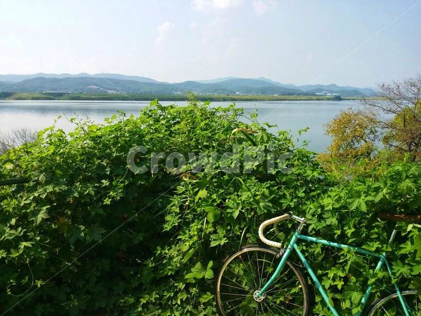 bicycle,bike,wheel,바퀴,산,강,녹색,덩쿨,식물,자전거