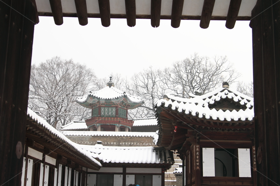 창덕궁,겨울,눈온날,눈온풍경,눈,기와,지붕,겨울,계절,winter,season,한국전통,한국문화,korean traditional,korean culture,랜드마크,landmark,tourist attraction,한국랜드마크,한국관광지,한국명소,korea landmark,korea tourist attraction,건축물,건물외관,exterior,building,structure,architecture,construction