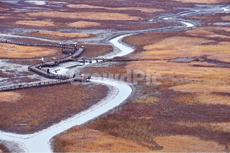신안,증도,태평염전,물길,경관,nature,자연,outdoors,옥외,road,도로,landscape,scenery,풍경,자연,풍경,nature,landscape,한국자연풍경,한국자연경관,korea nature landscape
