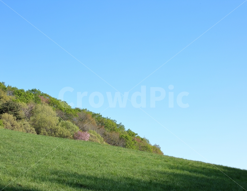 하늘,풍경,사진,이미지,초원,언덕,자연,풍경,nature,landscape,field,들,grassland,목초지,outdoors,옥외