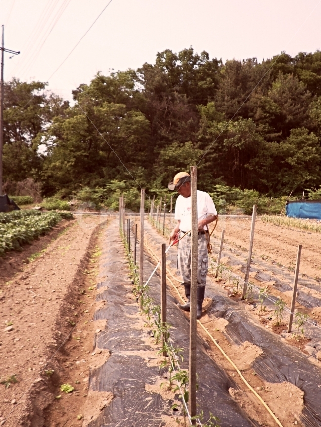 농촌,사람,밭일,풍경,아버지,시골,마을,풍경,landscape,country,rural,town,사람,인물,인간,human,person,남성,남자,man,male,산업,industry,industrial,농업,농사,agriculture,farming,farming industry