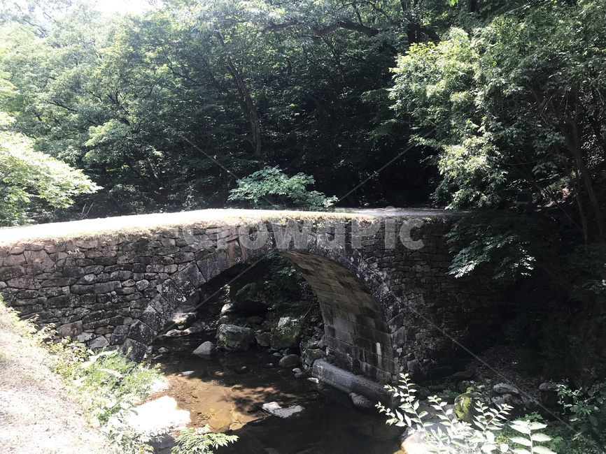 숲,다리,강,풍경,돌다리,숲속,여름,자연,자연,풍경,nature,landscape,water,물,outdoors,옥외