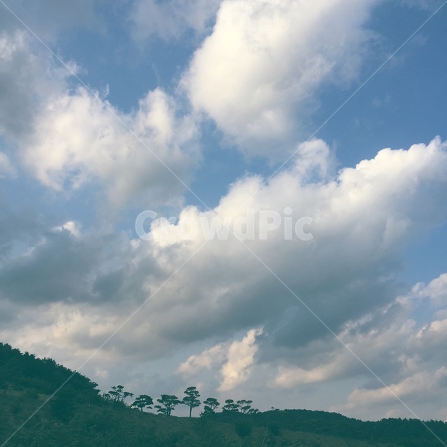 일상,힐링,하늘,구름,풍경,자연,풍경,nature,landscape,outdoors,옥외,weather,날씨,cumulus,적운,cloud,sky