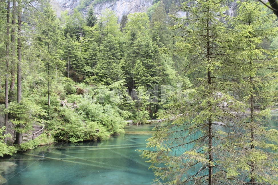 물,water,자연,nature,관광,landscape,경치,관광명소,강,lake,하늘,sky,스위스,swizerland,vacation,touristattraction,감성,feeling,tree,나무,plant,식물,fir,전나무,abies,아비,conifer,구과식물,vegetation,초목,outdoors,옥외