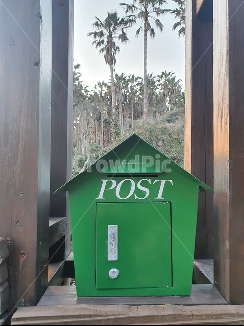 우편함,야자수,우체통,초록색,letterbox,사서함,green