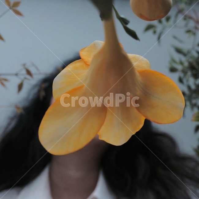 꽃,식물,자연,flower,nature