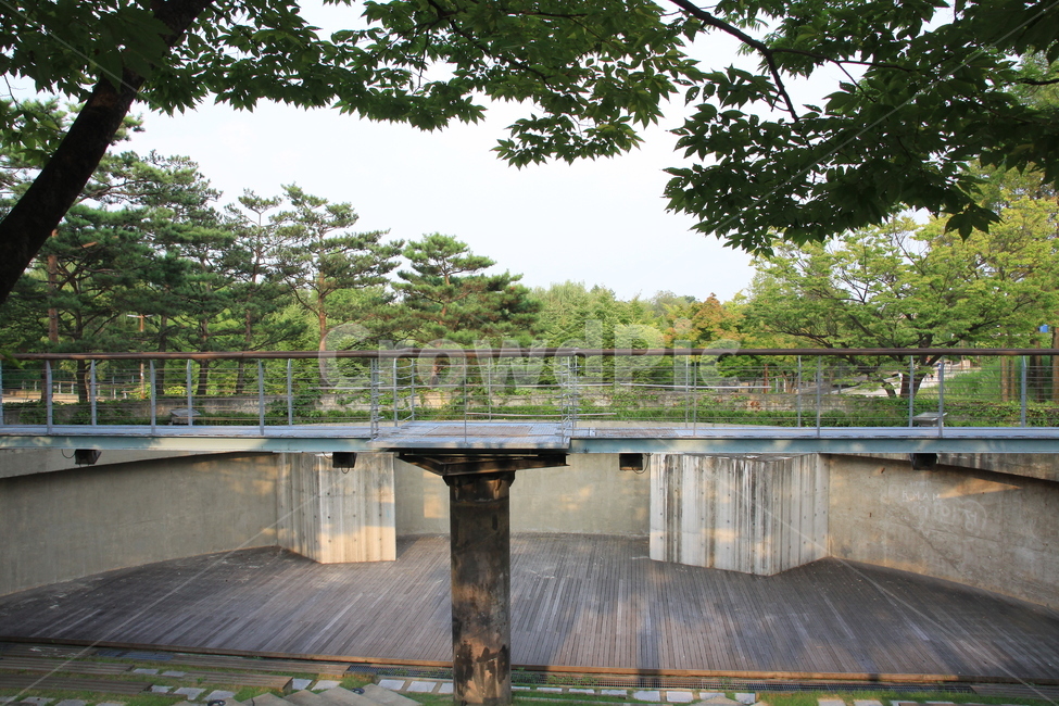 자연,풍경,테이블,잎,봄,자연,풍경,nature,landscape