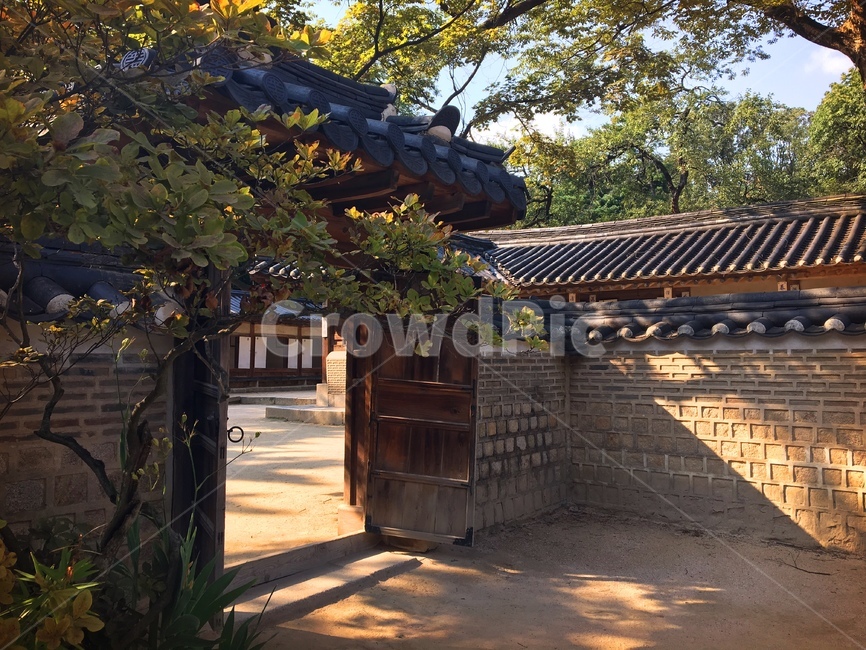 한옥,전통,담벼락,한국,집,전통가옥,빛,나무,돌담,그늘,여유,한국의집,문화재,코리아,korea,seoul,민속,문화,tradition,동양,목조,목재,그림자,담장,산,자연,풀,처마,기와,전통문화,대문,고즈넉,건물,한국적인,햇빛,역사,history,stone,wall,oriental,아시아,문,건축,보존,고건축,한국전통,한국문화,korean traditional,korean culture,건축물,건물외관,exterior,building,structure,architecture,construction