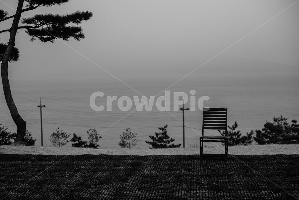 흑백,의자,바다,감성,풍경,자연,풍경,nature,landscape,흑백,모노톤,monochrome,black and white,tree,나무,plant,식물