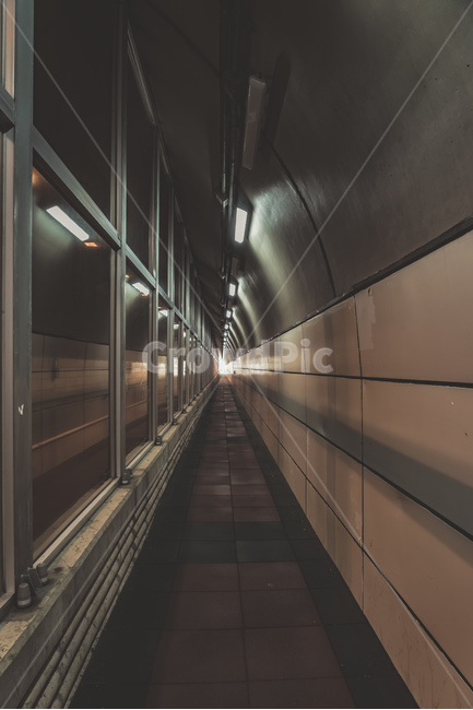 서울,화곡,까치산,터널,도로,불빛,산책로,seoul,tunnel,walk,light