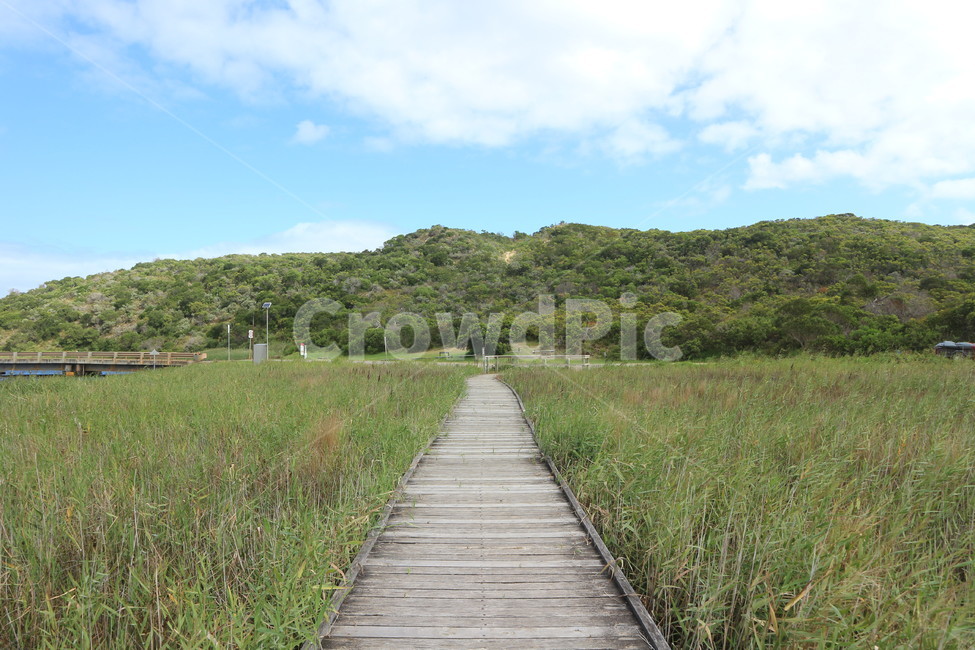 길,자연,산,하늘,나무길,호주,초록색,road,wood,track,mountain,nature,green,자연,풍경,nature,landscape,boardwalk,산책로,building,건물,bridge,다리