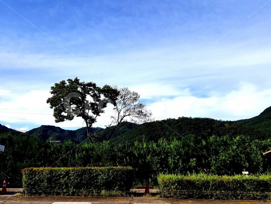 풍경,나무,하늘,구름,시골,자연,풍경,nature,landscape,plant,식물,tree
