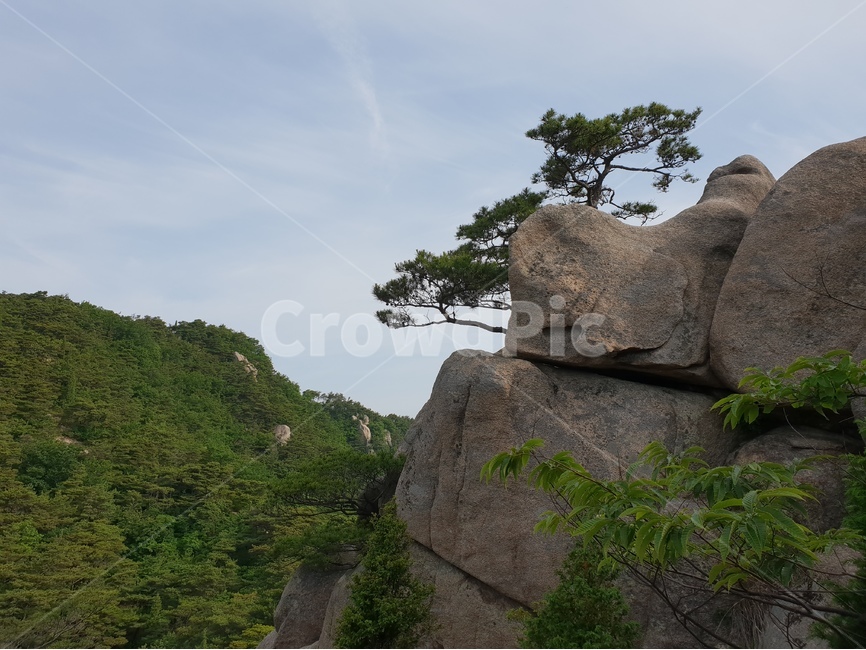 용봉산,산,풍경,바위,구름,나무,자연,풍경,nature,landscape,outdoors,옥외,cliff,낭떠러지
