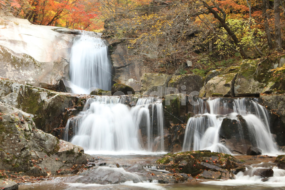 폭포,나무,경치,자연,물,단풍,가을,계절,fall,autumn,season,자연,풍경,nature,landscape,식물,plants,water,river,강,outdoors,옥외,waterfall