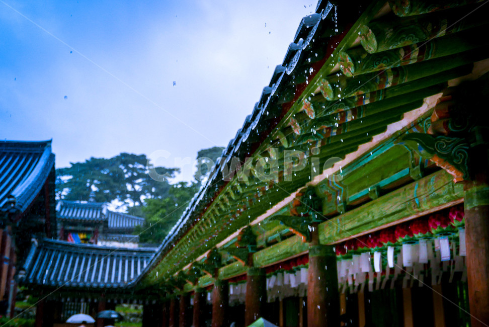 한국,절,비,불국사,빗방울,한국양식,기와,한국전통,한국문화,korean traditional,korean culture,비,비오는날,rain,rainy,건축물,건물외관,exterior,building,structure,architecture,construction