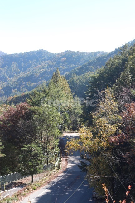 산,도로,가을,단풍,배경화면